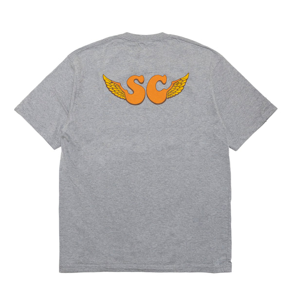 TYLER WARREN T-SHIRT / GRAY